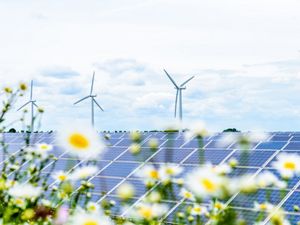 White flowers frame a background that includes solar panels and wind mills.