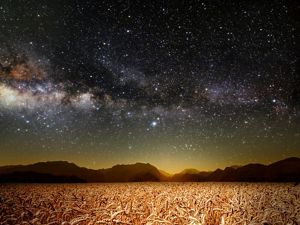 Looking up from a field of wheat leading up to rocky mountains looking up to the milky way.