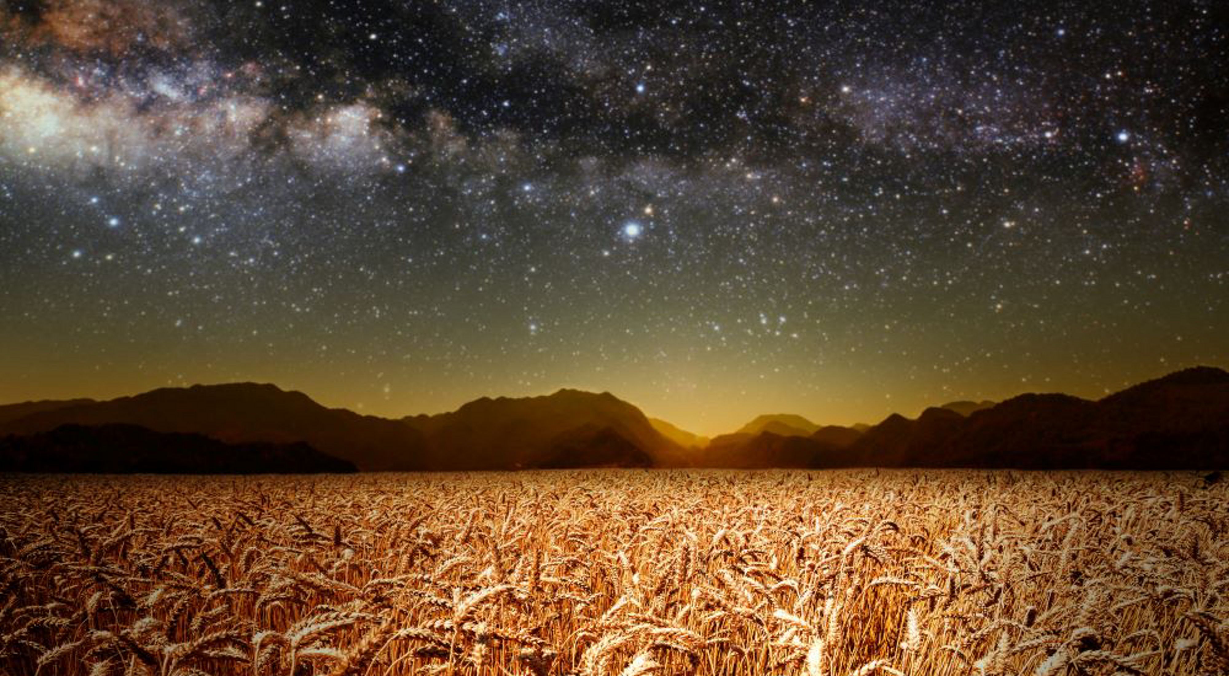 Looking up from a field of wheat leading up to rocky mountains looking up to the Milky Way.