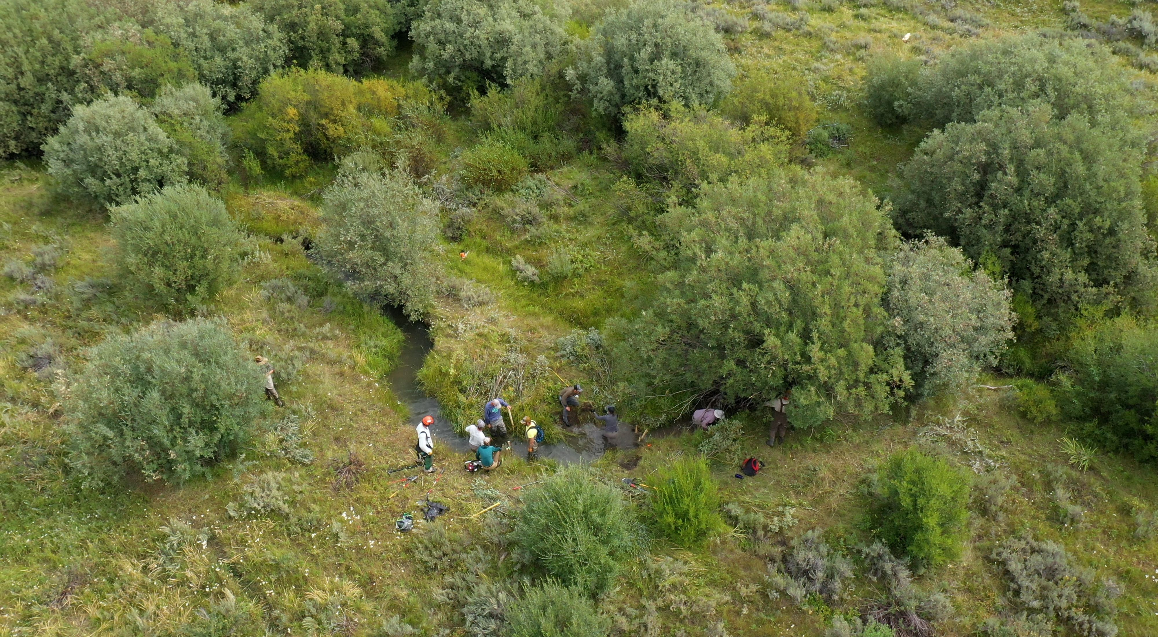 Aerial view of a wet meadow with several people working in and around a stream.