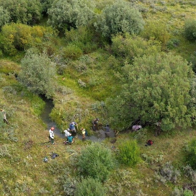 Aerial view of a wet meadow with several people working in and around a stream.