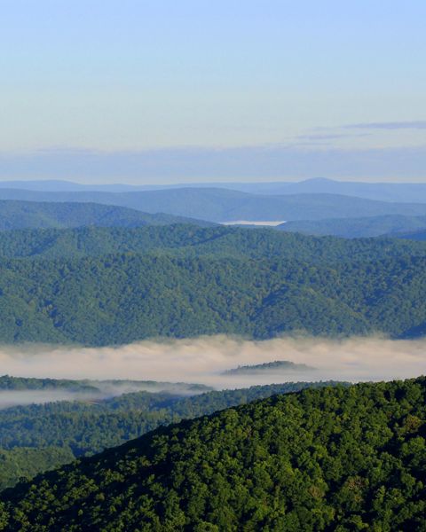 Rolling green mountain ridges extend to the horizon. Thick white mist hangs in the air above the deep, heavily forested valleys.