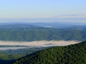 Aerial view of rolling green mountain ridge tops. A heavy bank of white fog shrouds the lower valley.