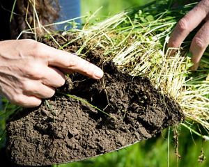 Chamberlain Farm, California.