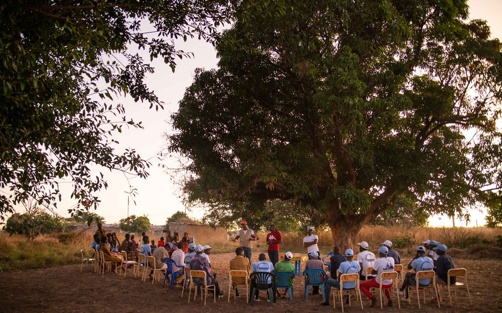 Large group of people seated under a tree