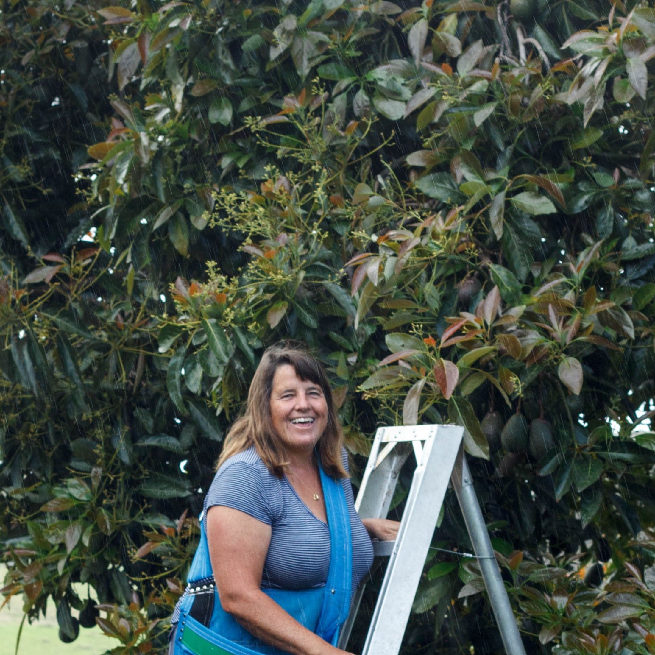Woman smiles at camera in front of an avocado tree. 