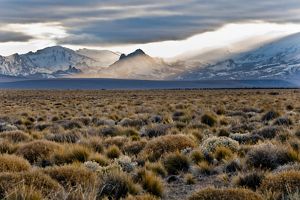 The Nature Conservancy In Argentina   Argentina20 