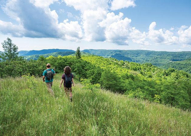 Two hikers walk along a hillside in Kentucky. 
