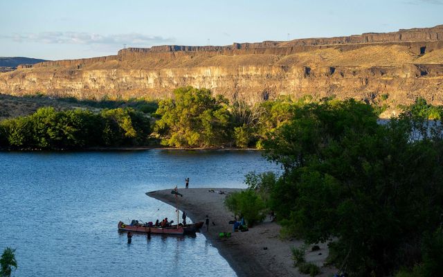 A group of people canoeing back to land.