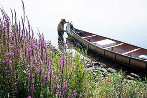 A person standing next to a canoe in a river with flowers growing on the side.