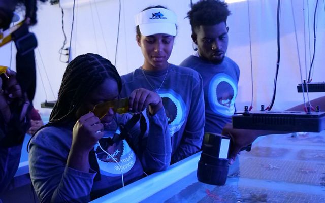 Three people in a lab viewing coral under UV light.