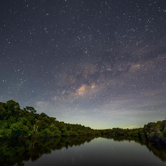 Clusters of stars and the milky way galaxy appear in a darkening sky over tropical rainforest and a river.