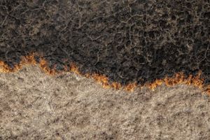 Overhead aerial image of a line of fire, with the burned grassland on the top half of the photo and the not-yet-burned area on the bottom half.