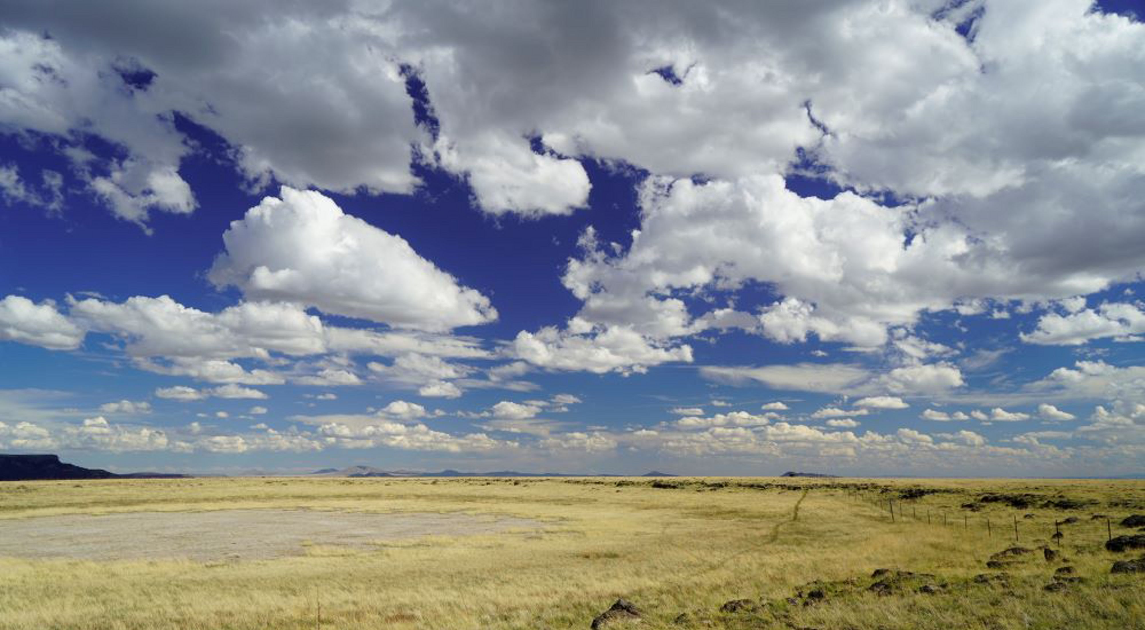 Grassland as far as the eye can see with a blue ombre sky and big fluffy white clouds.