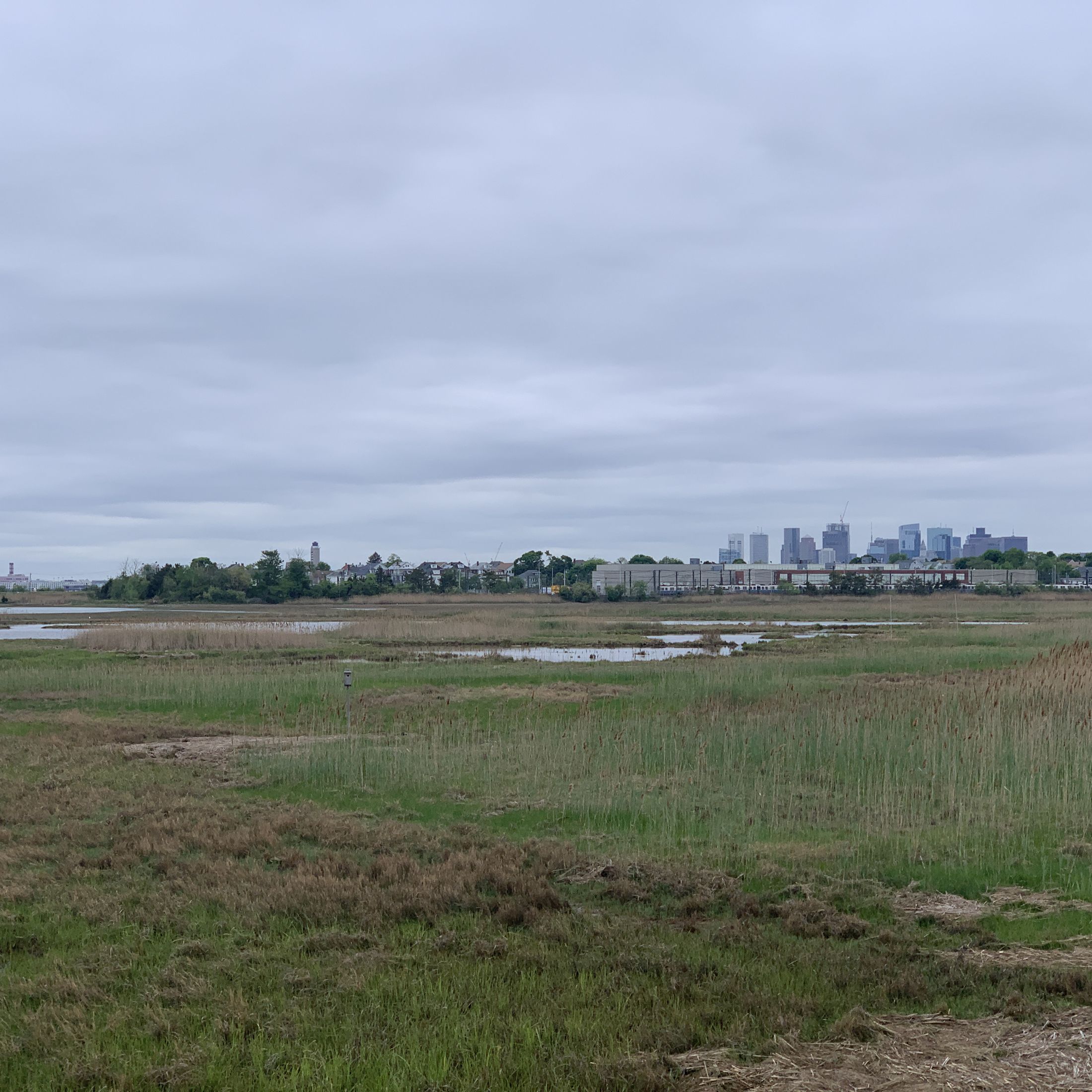 Belle Isle Marsh in the foreground, with Boston Logan Airport and the Boston skyline in the background.