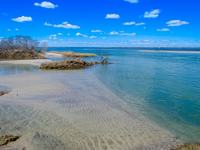 An opening in the inlet has caused an increase in salty ocean water, which has improved conditions for fish, shellfish, and seagrasses by reducing the brown tides.