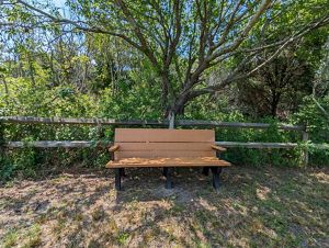 A bench sits up against a split rail fence with forest in the background.