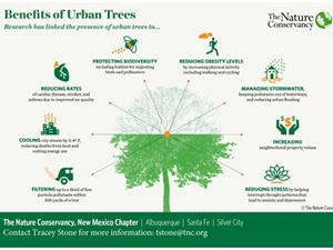Graphic illustration depicting the many benefits of urban trees.