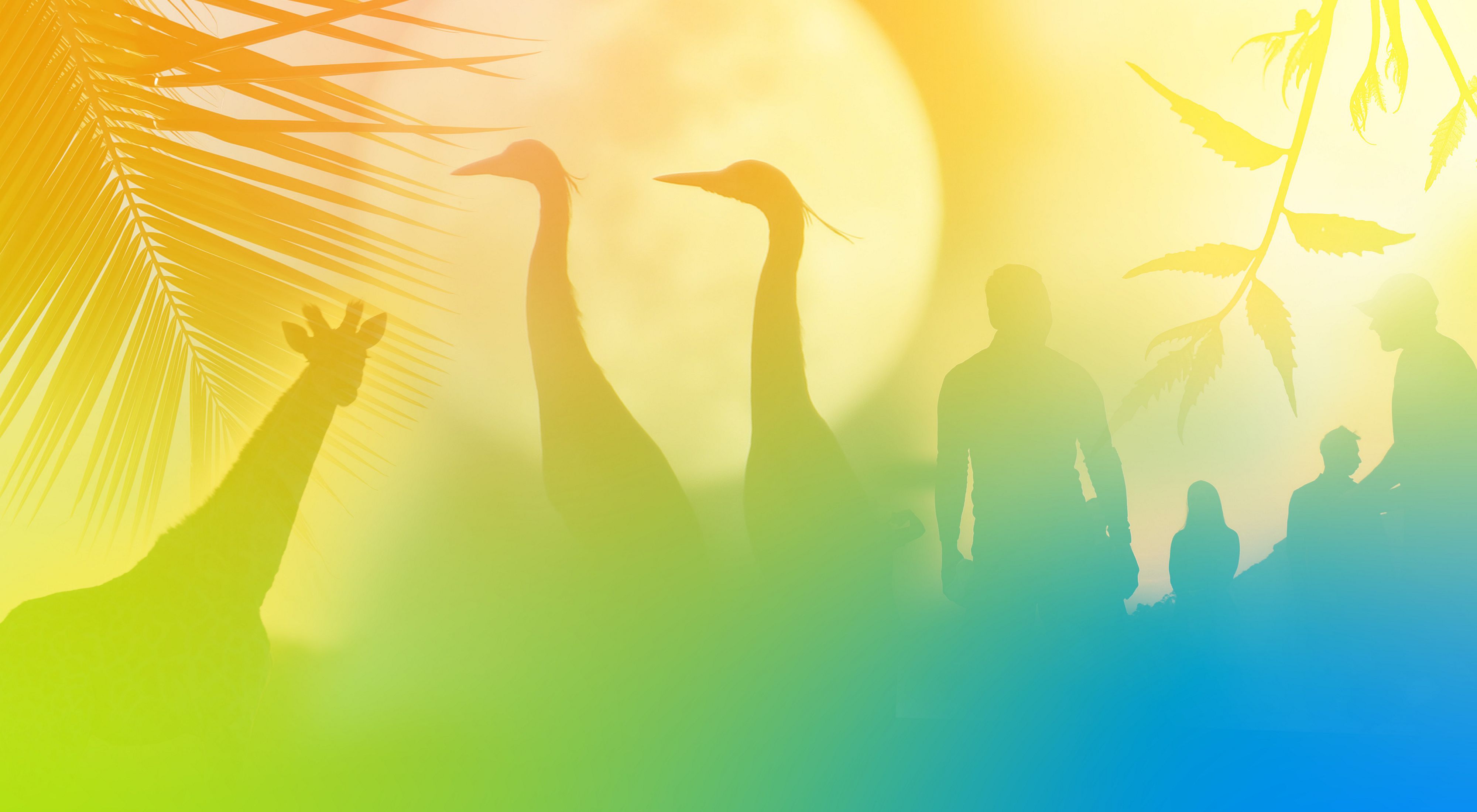 A collage of silhouetted animal, plant and people photos with a gradient overlay of green, orange, and yellow.