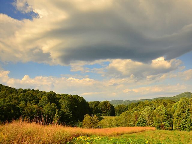 Landscape view of wide valleys and thick forests of the John R. Dickey Birch Branch Sanctuary in Shady Valley.
