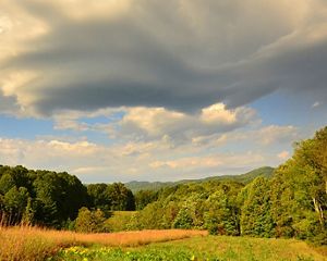 A forest surrounds a prairie under a big sky.