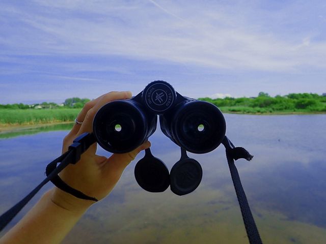 Looking through a pair of binoculars. A hand holds a pair of black binoculars looking out over an open wetland. 