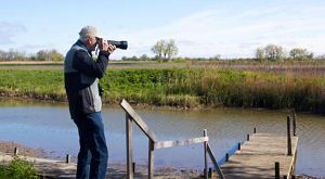 A person looks through a camera to photograph a bird at Erie Marsh Preserve in Michigan. 