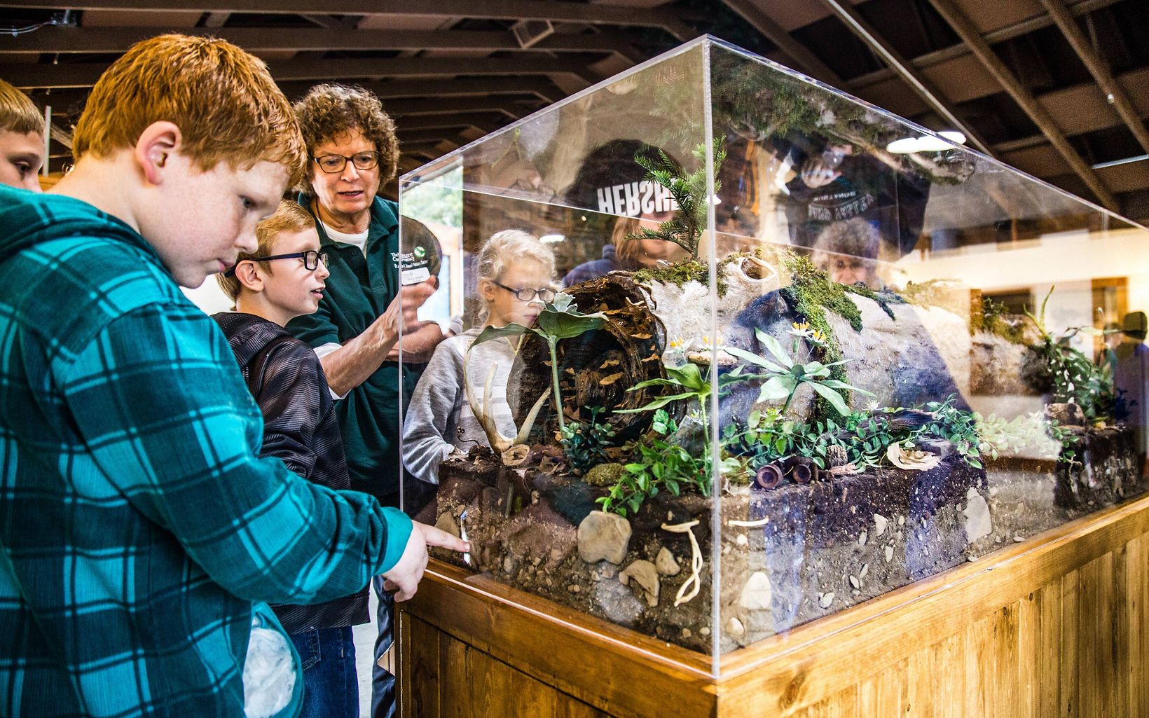 Boy with red hair and blue plaid shirt looks into a glass terrarium that shows a rotting log and a look at the soil underneath it, along with organisms that like that habitat.