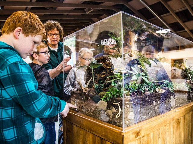 Children surround a glass aquarium to see what natural elements are inside.