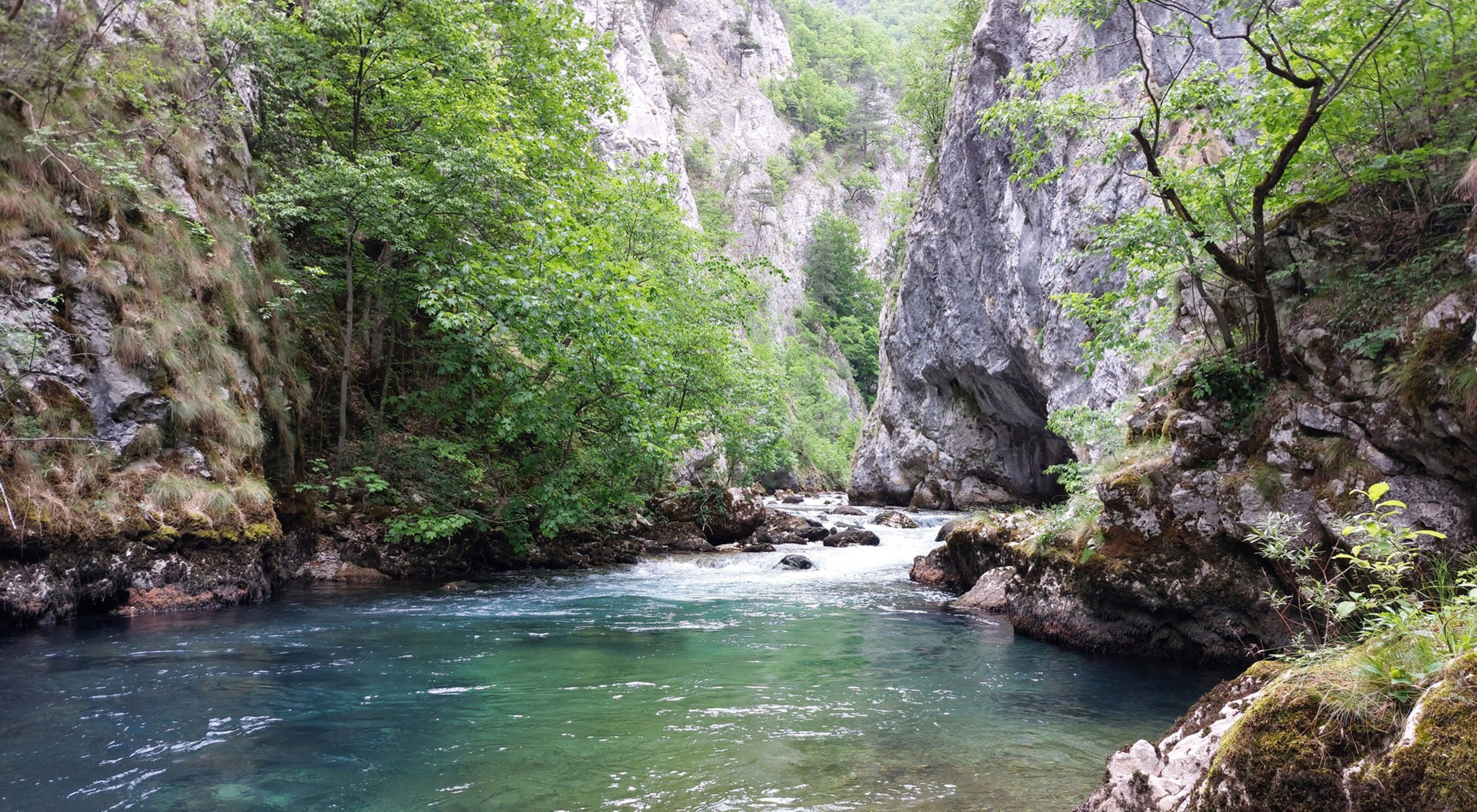 The Bistrica River carves its way through Montenegro's spectacular Đalovića Gorge.