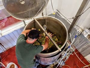 View looking down into a tall steel brewing vat filled with longleaf pine branches, needles and cones. A man stands over the vat adding ingredients.