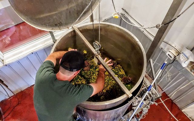 View looking down into a tall steel brewing vat filled with longleaf pine branches, needles and cones. A man stands over the vat adding ingredients.