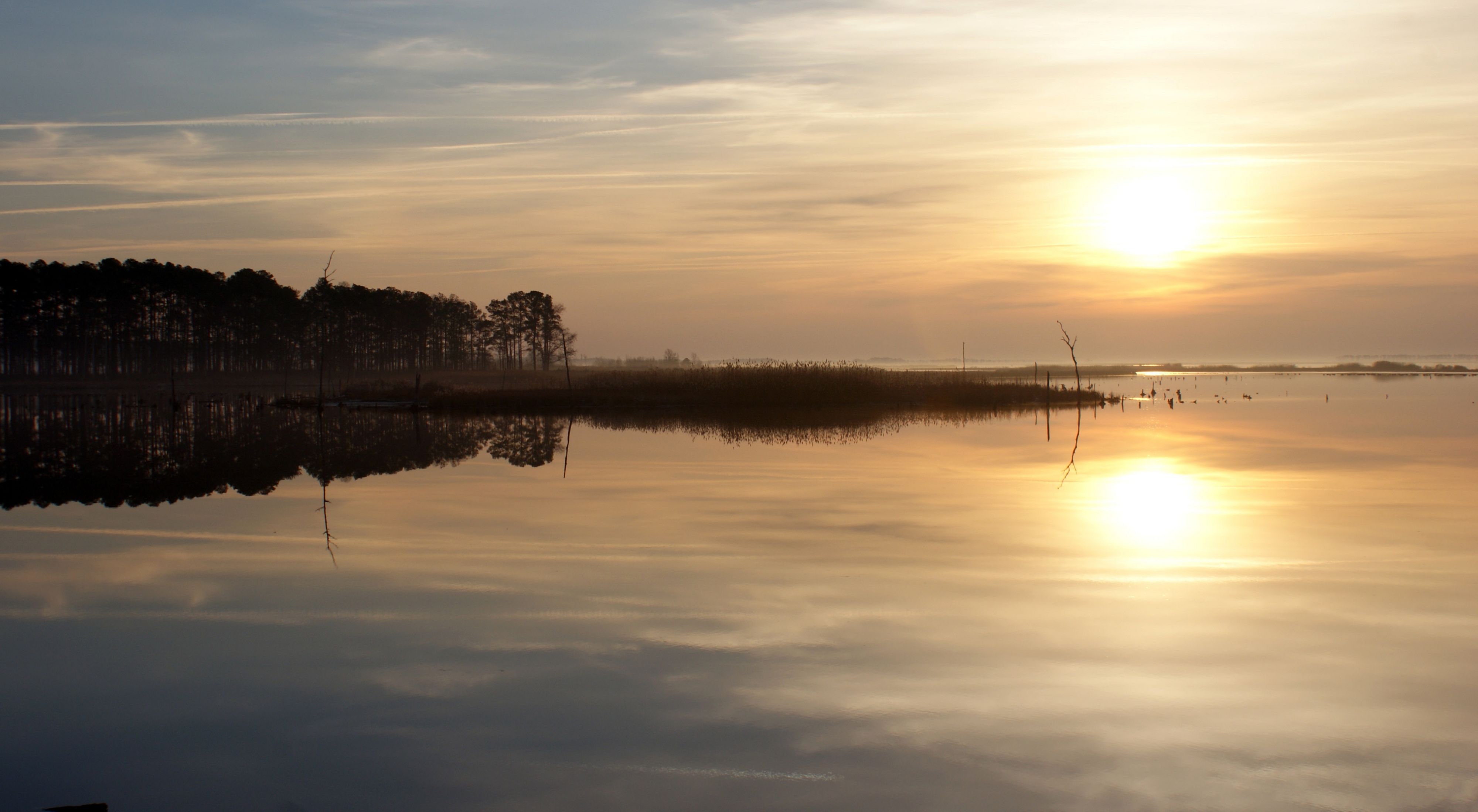 The setting sun and tall pine trees are reflected in the calm water of the Blackwater River. 