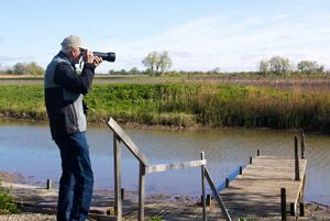 Birding at Erie Marsh Preserve