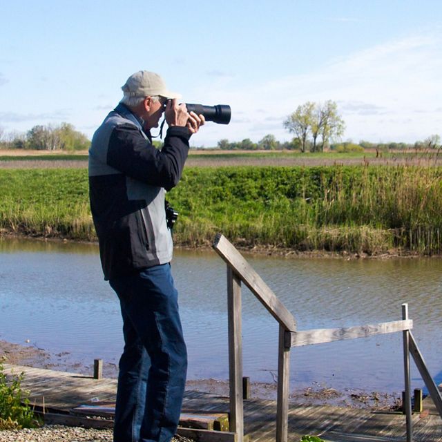 A person with a camera pauses by a wooden dock to photograph a bird at Erie Marsh. 