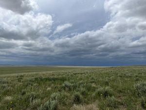 Vast grasslands with large clouds in the sky.
