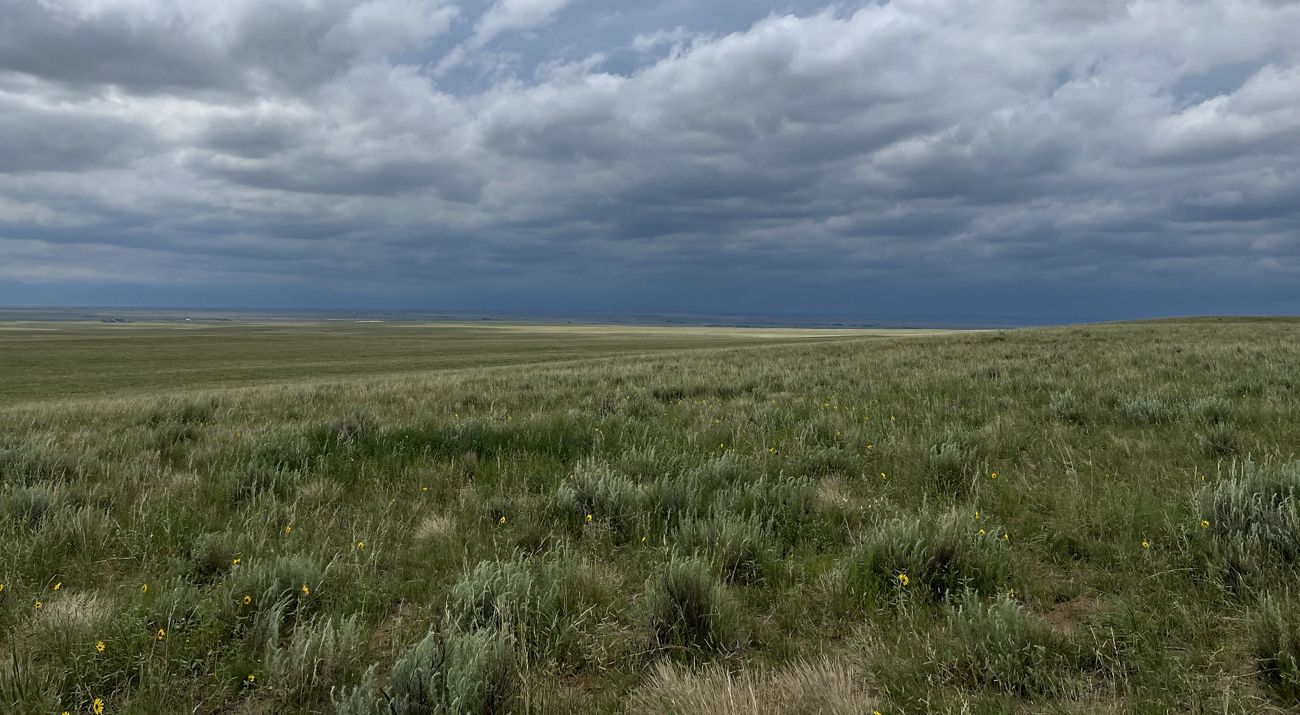 Vast grasslands with large clouds in the sky.