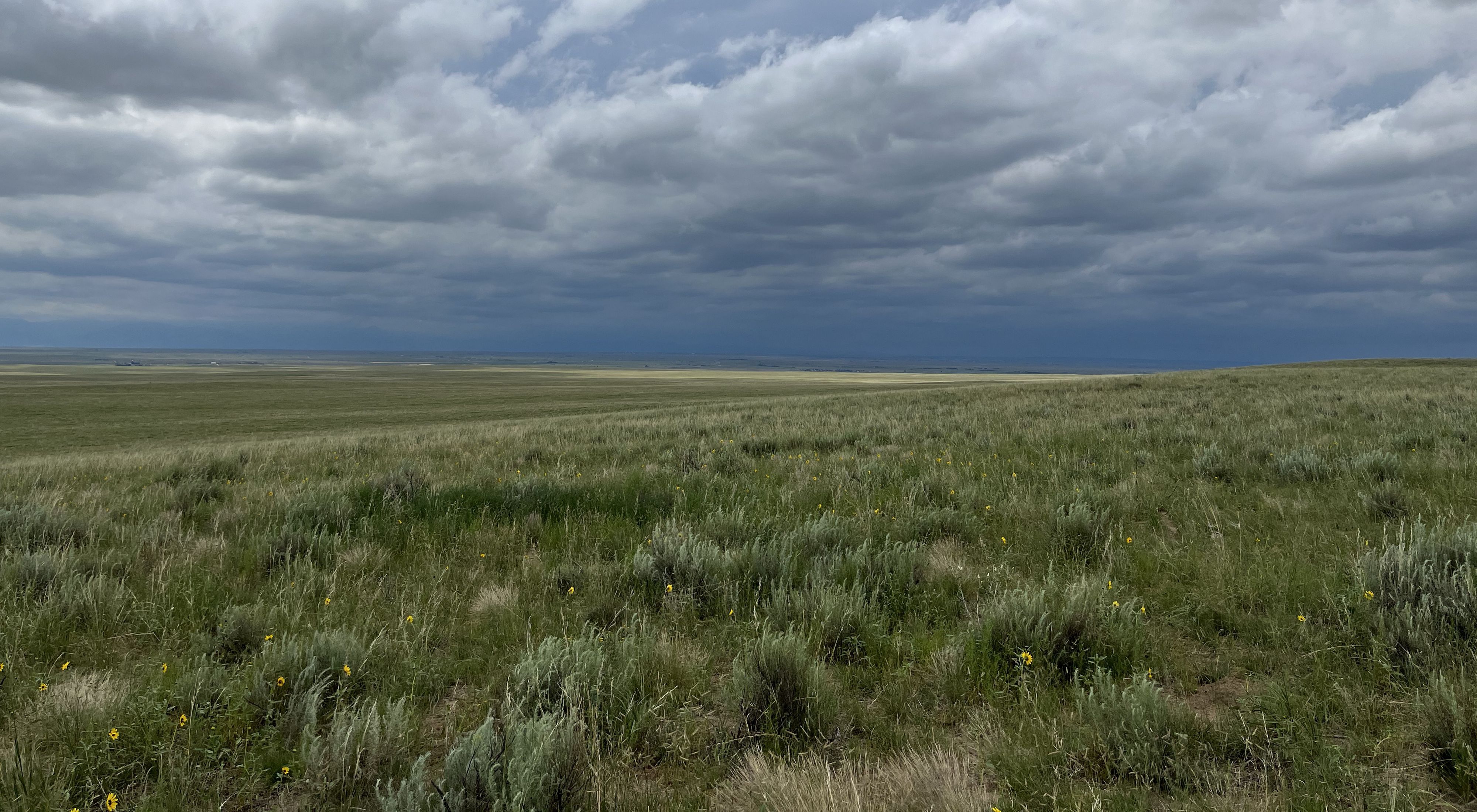 Vast grasslands with large clouds in the sky.