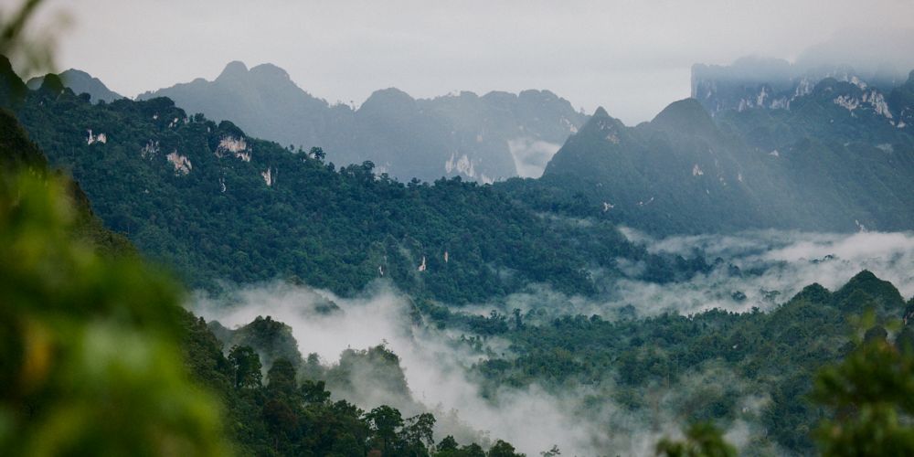 clouds settling in a mountainous forest landscape.