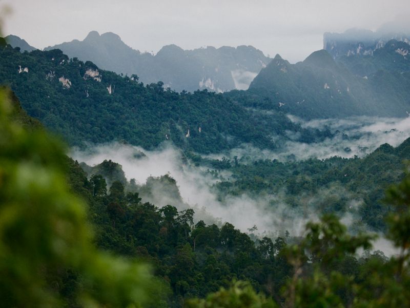 Aerial of a cloud rainforest, with clouds settling in amongst the trees of a dense forest.