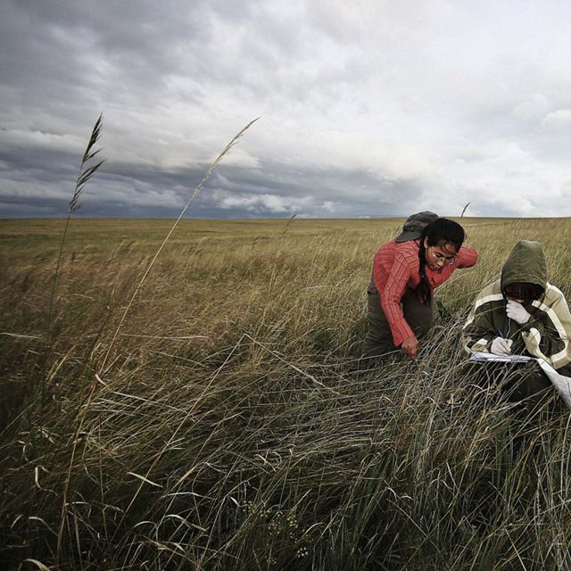 Botanists conduct research in Toson Hulstai, Mongolia grasslands.
