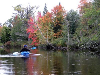 A person paddling a canoe in a lake bordered by trees in their fall colors. 