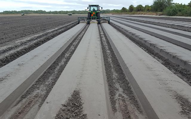 A tractor prepares neat beds of soil destined to be planted with cabbage.