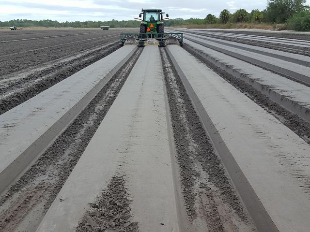 A tractor prepares neat beds of soil destined to be planted with cabbage.