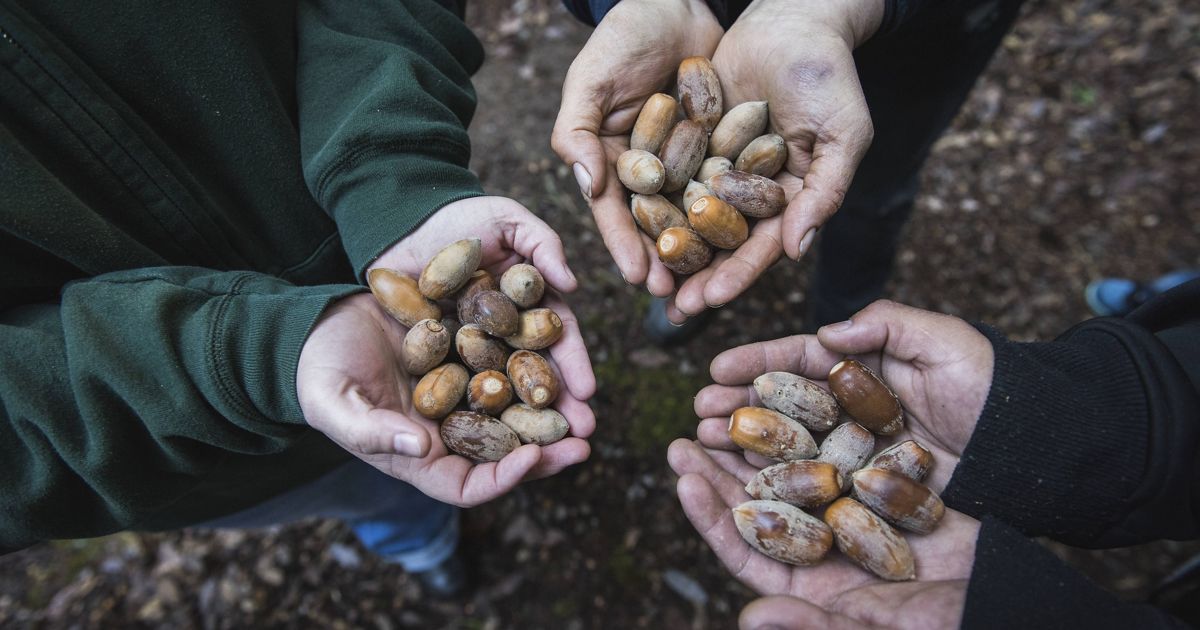 Partnering with Indigenous People and Local Communities