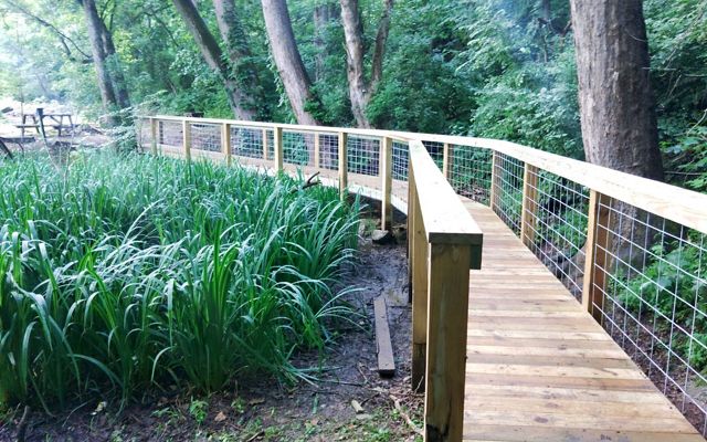 A newly constructed elevated foot bridge curves over and through a wetland area.