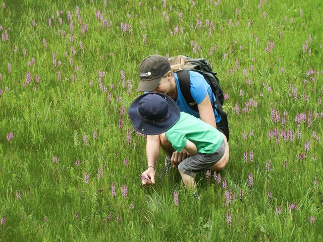 Paige Lewis and her son kneel down in grass to look at flowers.