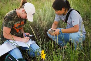 Two women kneeled down in grass and analyzing a turtle that they are holding.