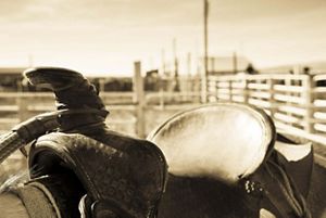 A close up image of a saddle on top of a horse.