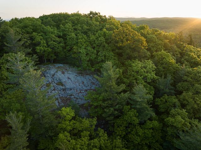 Aerial view of the Boehme Legacy Forest.